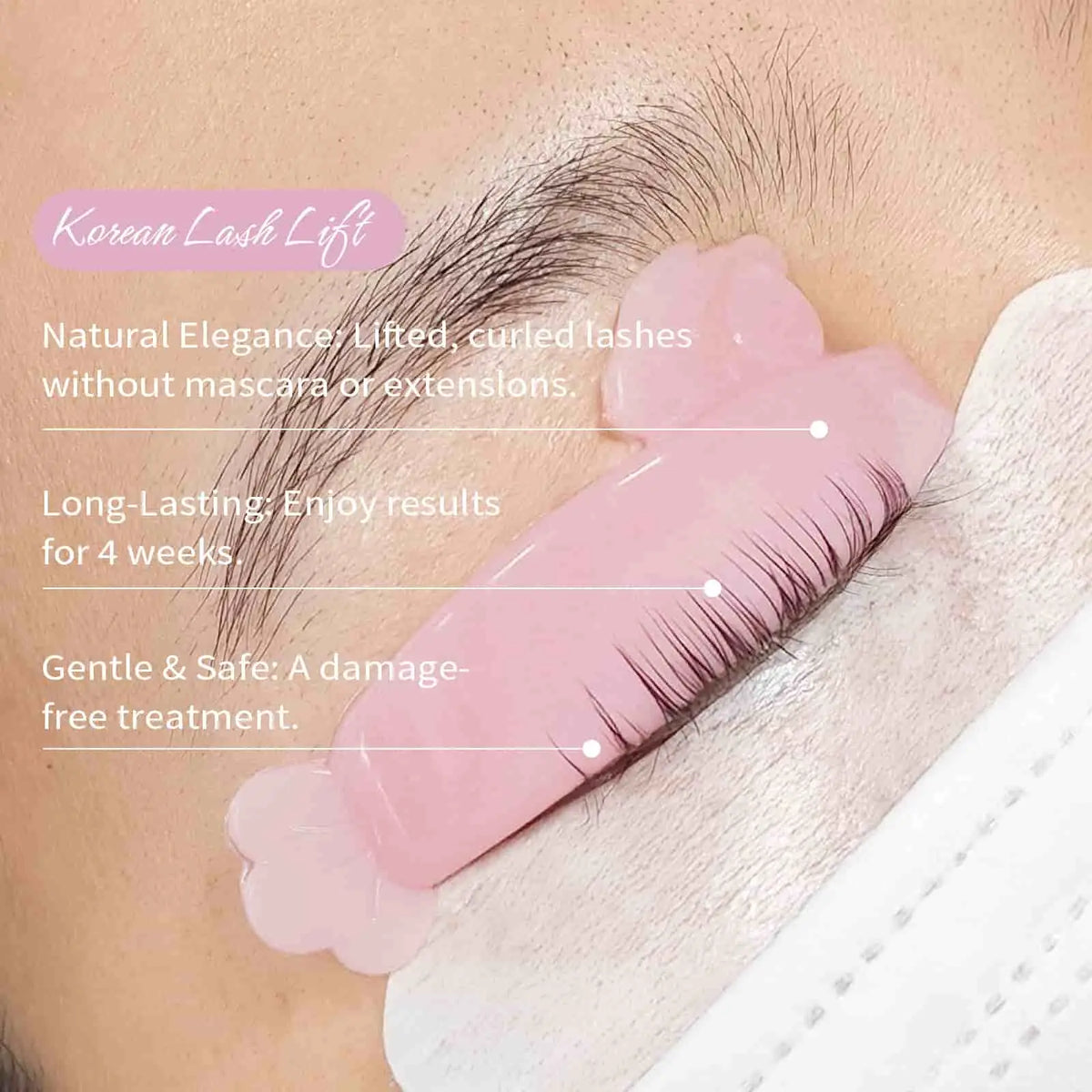Pink lash lift shield positioned on a closed eyelid with upper lashes arranged along its curved surface.