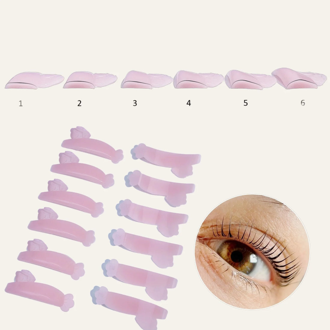 Six pink lash lift shield profiles numbered 1 to 6, with paired pads and a lifted lash example.